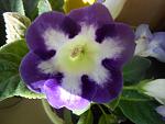     
: DSCN3912.jpg
: 5
:	86.0 
ID:	12023323