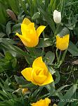     
: P70430-174229.jpg
: 7
:	109.3 
ID:	12024529