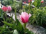     
: P70430-174250.jpg
: 6
:	251.9 
ID:	12024531