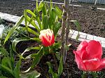     
: P70430-174253.jpg
: 7
:	259.9 
ID:	12024532