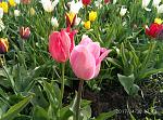    
: P70430-174258.jpg
: 7
:	185.9 
ID:	12024533