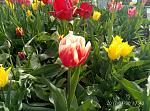     
: P70430-174320.jpg
: 9
:	184.7 
ID:	12024535