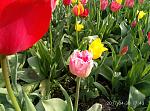     
: P70430-174331.jpg
: 6
:	172.1 
ID:	12024536