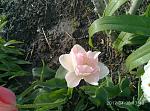     
: P70430-174338.jpg
: 6
:	183.6 
ID:	12024537