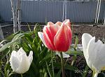     
: P70430-174342.jpg
: 7
:	168.4 
ID:	12024538