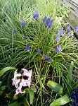     
: P70430-174208.jpg
: 7
:	202.2 
ID:	12024540