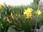     
: P70430-174531.jpg
: 8
:	217.7 
ID:	12024541
