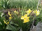     
: P70430-174516.jpg
: 6
:	237.6 
ID:	12024542