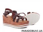     
: 62-13 brown_1.800x600w.jpg
: 13
:	143.0 
ID:	12024552
