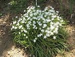     
: IMG_2262-800.jpg
: 20
:	257.9 
ID:	12025508