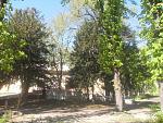     
: SDC15649.JPG
: 174
:	273.5 
ID:	12025647