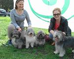    
: DSC07650(1).jpg
: 12
:	188.4 
ID:	12026615