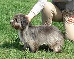     
: DSC07688(1).jpg
: 10
:	280.9 
ID:	12026619