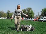     
: DSC07722.jpg
: 14
:	212.9 
ID:	12026625