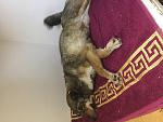     
: IMG_3083.jpg
: 24
:	134.1 
ID:	12029016
