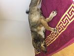     
: IMG_3084.jpg
: 19
:	130.0 
ID:	12029017