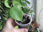     
: IMG_7007.jpg
: 71
:	134.3 
ID:	12035238