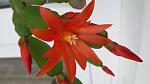     
: 20170505_082035.jpg
: 8
:	56.0 
ID:	12035981