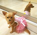     
: 20170505_193603.jpg
: 12
:	101.6 
ID:	12038338