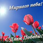     
: 86926231_po6l.jpg
: 15
:	56.7 
ID:	12044545