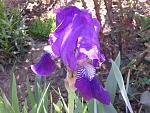     
: 20170507_111454.jpg
: 7
:	174.4 
ID:	12045467