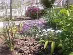     
: 20170507_110926.jpg
: 6
:	291.0 
ID:	12045468