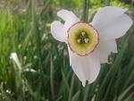     
: 20170507_111300.jpg
: 9
:	95.5 
ID:	12045469