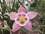     
: 20170508_124344.jpg
: 8
:	130.9 
ID:	12045474