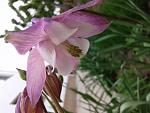    
: 20170508_124205.jpg
: 8
:	109.8 
ID:	12045476