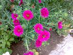     
: 190920153498.jpg
: 57
:	175.5 
ID:	12051180