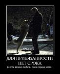    
: 1275811364_demotivator-156.jpg
: 40
:	19.7 
ID:	1205233