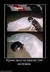     
: 1275811327_demotivator-131.jpg
: 42
:	15.6 
ID:	1205238