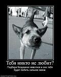     
: 1275811404_demotivator-168.jpg
: 32
:	19.1 
ID:	1205239
