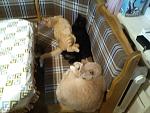     
: IMG_20170509_005413.jpg
: 17
:	117.4 
ID:	12052899