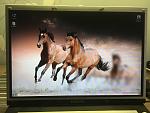     
: IMG_9489.jpg
: 19
:	110.9 
ID:	12054941