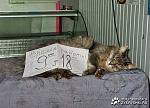     
: 1214915698_obed.jpg
: 12
:	46.1 
ID:	1206185