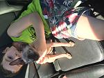     
: IMG_8160.jpg
: 23
:	166.4 
ID:	12063408