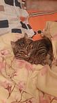     
: 20170517_231415_resized.jpg
: 31
:	54.4 
ID:	12064825