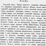     
: борщ3.jpg
: 16
:	103.8 
ID:	12065356