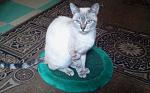     
: 2017-05-13 16.50.45-1.jpg
: 13
:	54.9 
ID:	12067428