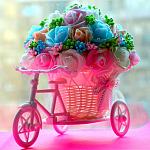     
: DSC_0024.jpg
: 7
:	104.7 
ID:	12069785