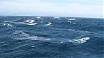     
: IMG_0009.JPG
: 56
:	142.7 
ID:	120699