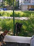     
: IMG_20170521_093318.jpg
: 36
:	195.4 
ID:	12070050