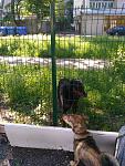     
: IMG_20170521_093316.jpg
: 29
:	201.0 
ID:	12070051