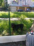     
: IMG_20170521_093310.jpg
: 31
:	158.3 
ID:	12070054