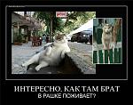     
: 9d67aca85055.jpg
: 21
:	66.4 
ID:	12070507