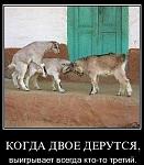     
: ca68c33ea0a7.jpg
: 34
:	36.9 
ID:	12070520