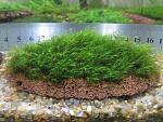     
: IMG_6262.jpg
: 1
:	167.7 
ID:	12070881