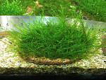     
: IMG_6270.jpg
: 1
:	175.3 
ID:	12070886