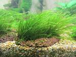     
: IMG_6331.jpg
: 1
:	163.9 
ID:	12070912